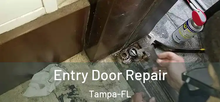  Entry Door Repair Tampa-FL