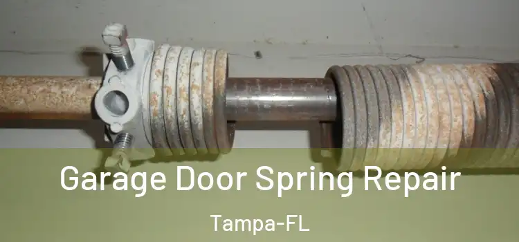  Garage Door Spring Repair Tampa-FL