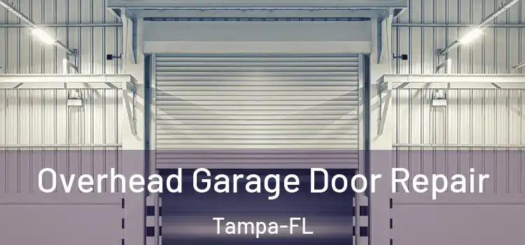  Overhead Garage Door Repair Tampa-FL
