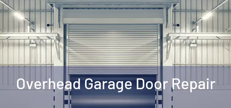  Overhead Garage Door Repair 