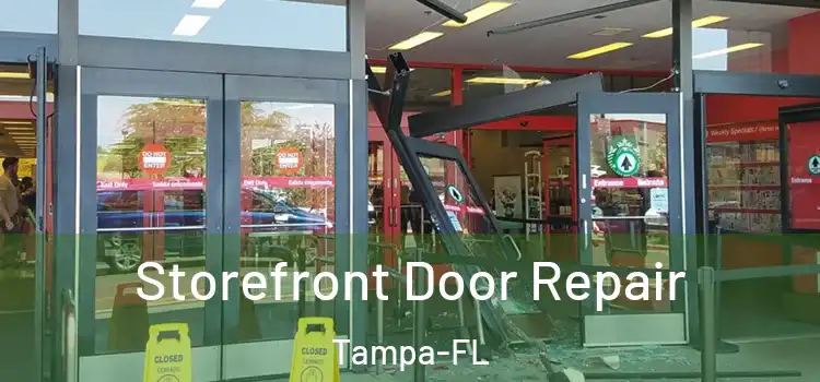  Storefront Door Repair Tampa-FL